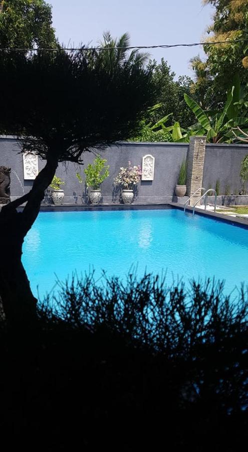 Mias Jungle House Hotel Lovina Exterior foto