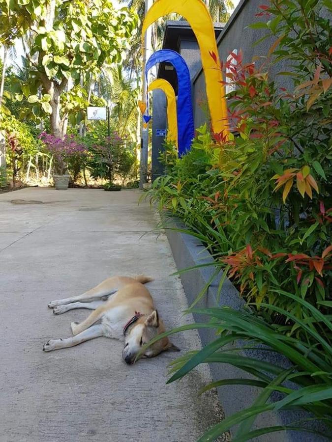 Mias Jungle House Hotel Lovina Exterior foto