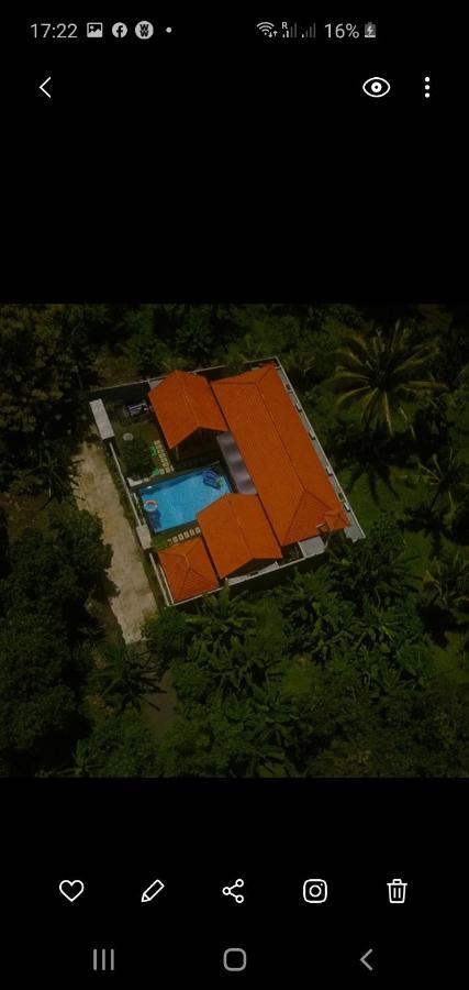 Mias Jungle House Hotel Lovina Exterior foto