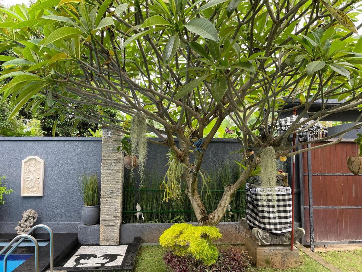 Mias Jungle House Hotel Lovina Exterior foto