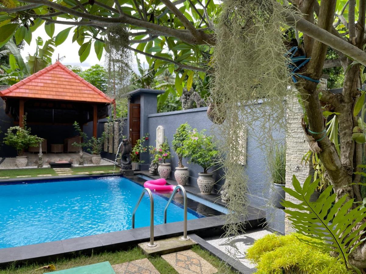 Mias Jungle House Hotel Lovina Exterior foto