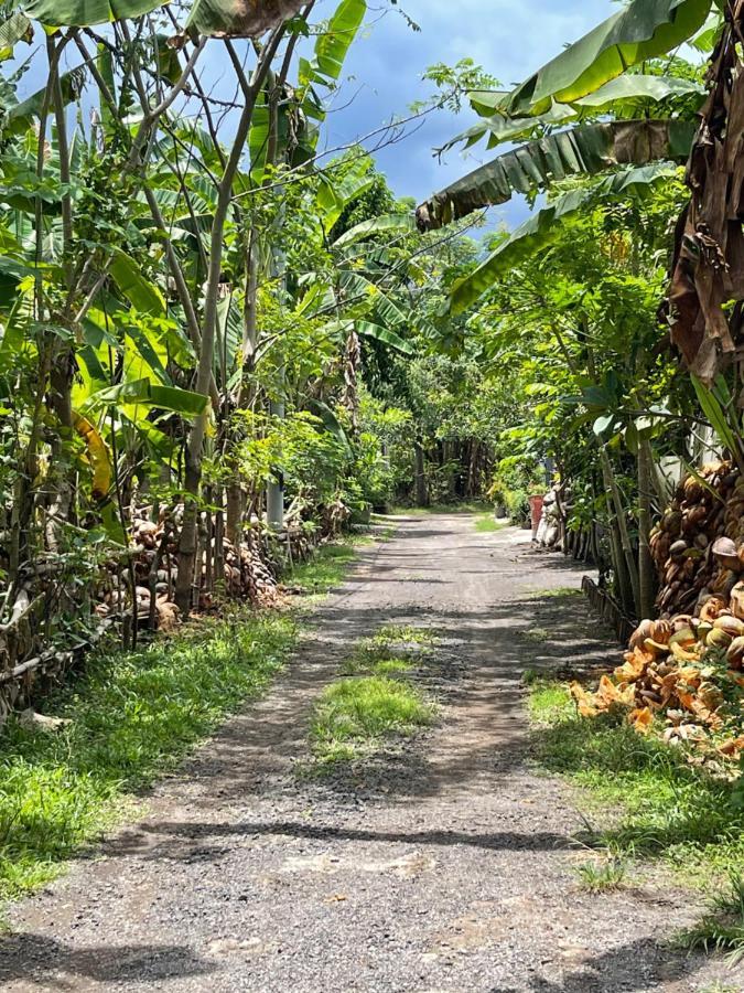 Mias Jungle House Hotel Lovina Exterior foto